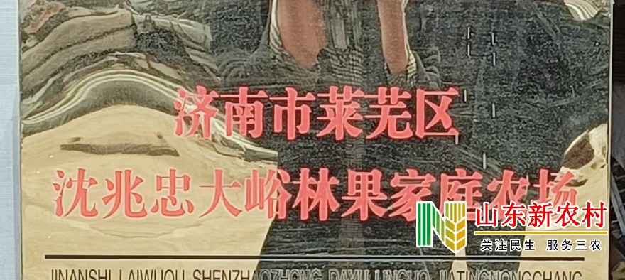 微信图片_20250305134536.jpg