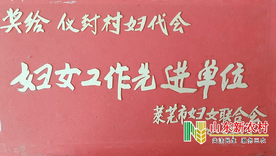 暖春行动——走进羊里镇仪封村
