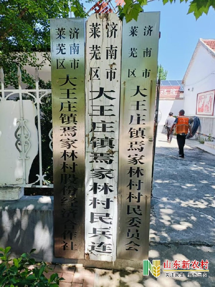 五一特别节目  走进焉家林村