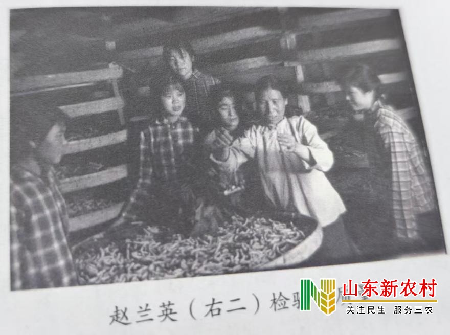 微信图片_20250628185001(1).jpg