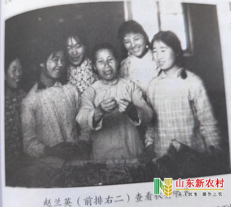 微信图片_20250628185005(1).jpg