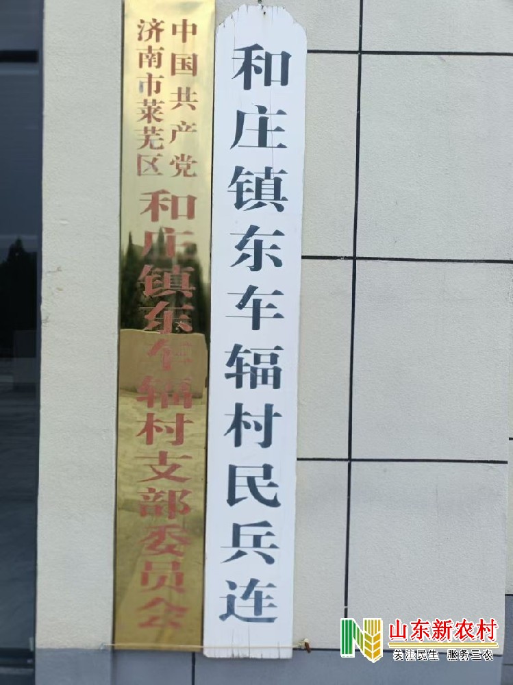 暖光送温馨 关爱孤寡老人  莱芜区和庄东车辐村社区公益活动纪实