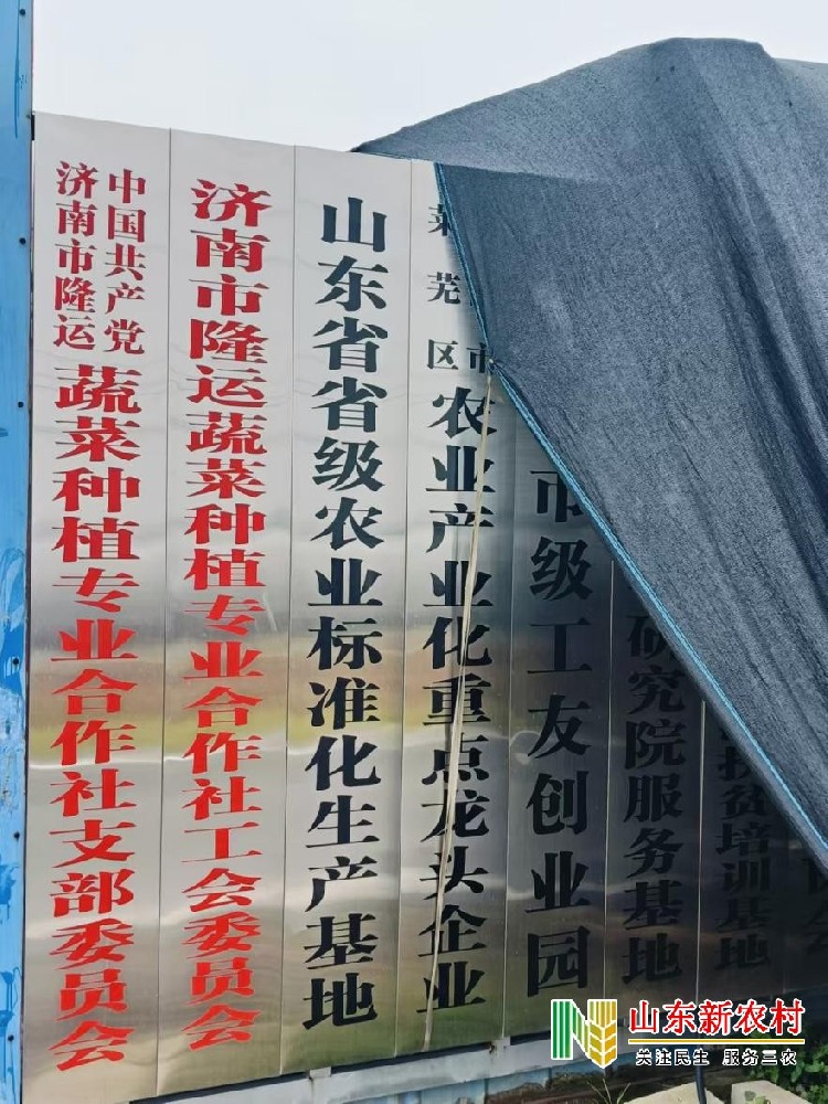 莱芜羊里蒜黄领头人 ——玄增福