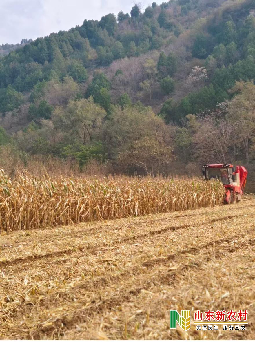 1762325817957985.jpg 微信图片_20251104103951_575_83.jpg