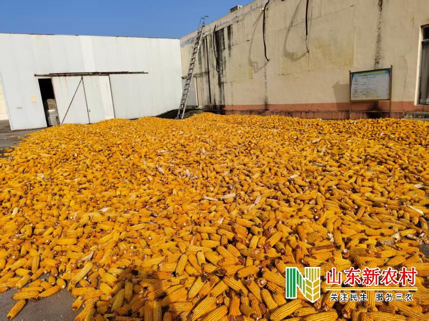 1762325911202315.jpg 微信图片_20251104103953_579_83(1).jpg