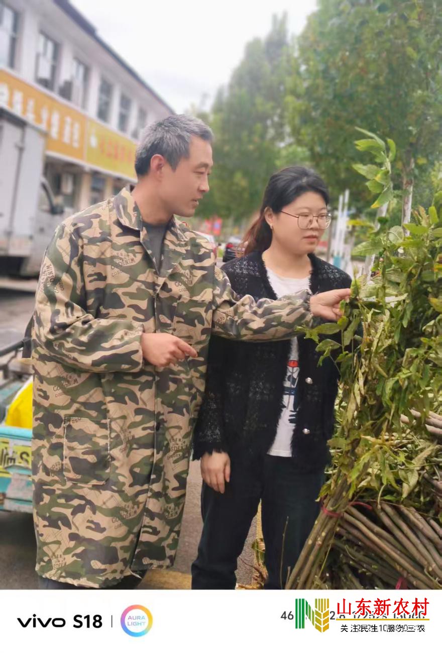 1762325955538714.jpg 微信图片_20251104103954_581_83(1).jpg